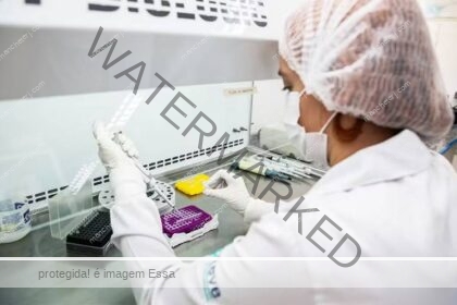 Anvisa aprova vacina contra chikungunya desenvolvida pelo Butantan