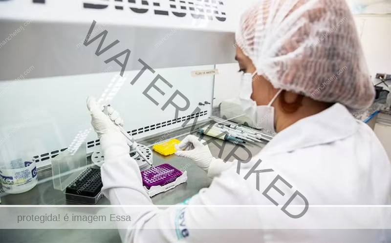 Anvisa aprova vacina contra chikungunya desenvolvida pelo Butantan