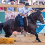 Rancho Gabriela: de polo equestre a alvo de investigação policial