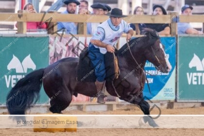 Rancho Gabriela: de polo equestre a alvo de investigação policial