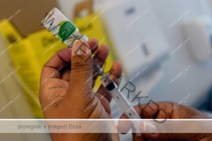 Vacinação contra a gripe no próximo sábado para população acima de 6 meses
