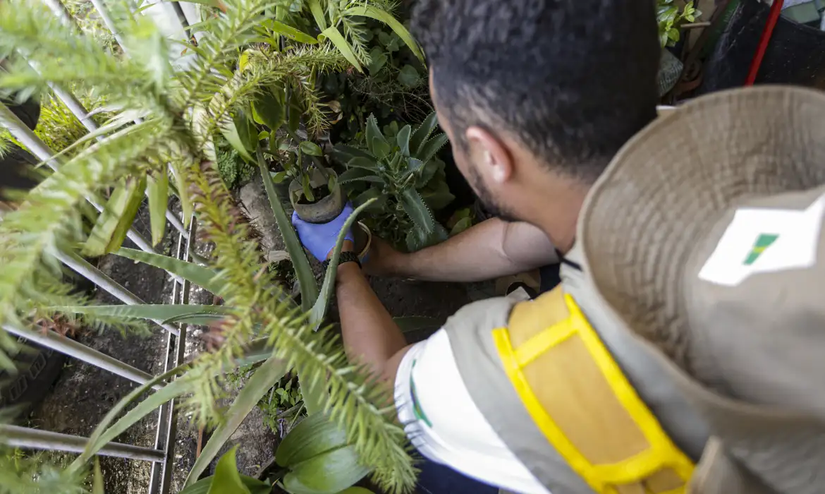 Atrapalhar ações de combate à dengue pode configurar crime