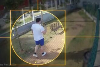 Vídeos mostram empresário passeando com cães e na academia após matar gari em BH