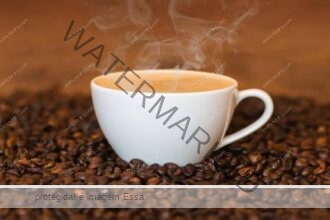 Produtores de café se preparam para expandir exportações