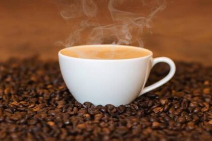 Produtores de café se preparam para expandir exportações