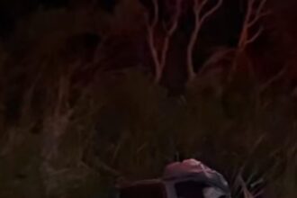 Colisão entre carro e moto mata casal na BR-356, em São João da Barra