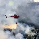 Incêndios em vegetação caem 33% no RJ, mas Norte e Noroeste Fluminense registram aumento