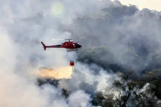 Incêndios em vegetação caem 33% no RJ, mas Norte e Noroeste Fluminense registram aumento
